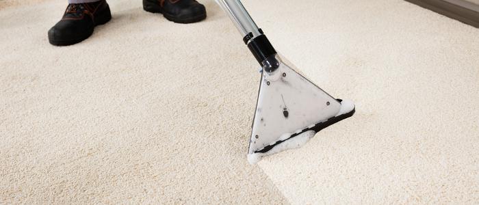 Carpet &#038; Home Cleaning